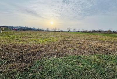 Teren intravilan de 7620 mp, în Diosig