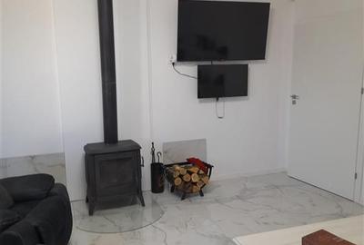 Vila P+M constructie 2020, pretabila doua famiili, teren 620 mp, Cazasu - 4