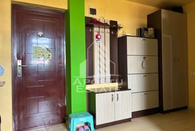 Apartament cu 2 camere, 42 mp, la cheie, zona Sagului in Timisoara - 9