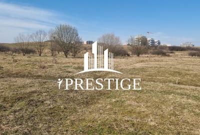 TEREN DE VÂNZARE 1000 MP ȘELIMBĂR ZONA TROIȚĂ | INVESTIȚIE - 14