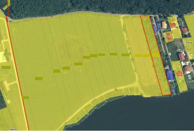 Teren de vânzare cu acces direct la lac, între pădure și apă – Moara Vlăsiei - 1