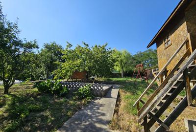 Vila superba de vanzare in Vintila Voda, Buzau D+P+1 si anexe - 43