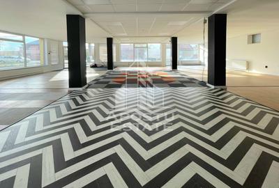 Spatiu Comercia/ Showroom 200mp util+curte720mp/GRADISTE - 6