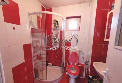 Proprietate versatila cu garaj si teren in Someseni - 11