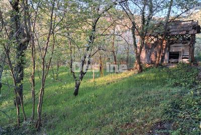 Casă bătrânească cu teren 1150 mp, vie și livadă – Șerbănești, Păușești, Vâlcea - 5