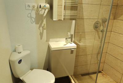 Apartament 4 camere renovat, 3 unitati regim hotelier zona Centrul Istoric - 10