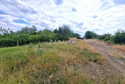 Teren Extravilan (11.464 mp),situat in Targu-Jiu, Str Ciresului - 4