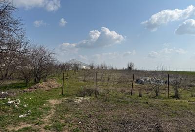 Teren intravilan 4.990 mp – Frumușani, zona Pasărea | Deschidere 22,5 m - 3