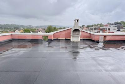 Casa individuala , 3 garaje , terasa ,  352mp utili, zona Dambu Rotund - 17