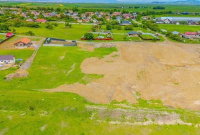 Teren intravilan 1450 mp – Carpiniș , Ideal pentru casă de locuit - 16