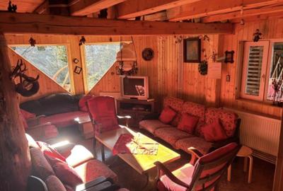 Cabana in Arieseni - 4