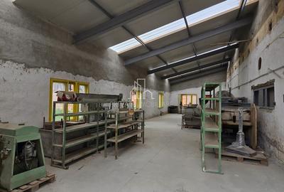 Teren + hale industriale 8785mp + casă–Oportunitate investiție / producție – - 18
