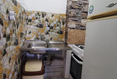 Gara de Nord, garsoniera, 1 minut metrou, mobilata, utilata, Pet Friendly - 14
