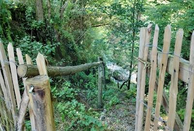 Casă de vacanță deosebită cu ciubăr si saună - natura si relaxare - 53