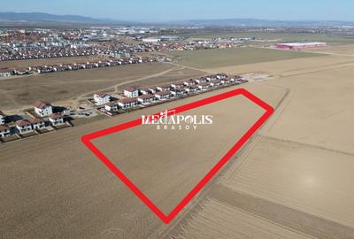 Teren 12.500 mp Ghimbav – Cartierul Florilor | Ghimbav | Brașov - 4