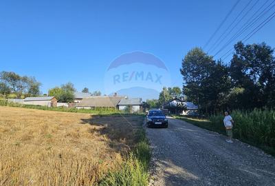 Teren intravilan, 7500 mp in Moara Carp / Strada Eternitatii-Suceava - 4