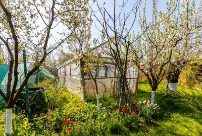 Casă / Vilă de vanzare Belciugatele str. VIILOR - 34