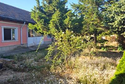 Teren intravilan , 1000mp - Km 5 - 1