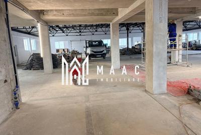 Hală 1144 mp I Compartimentabil I Utilități I Birouri I Mârșa - 4