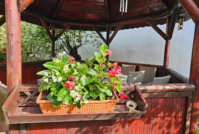 Vand casa 3 camere ARIUSD - 11