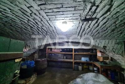 Casa cu spatiu comercial de vanzare in Sebes zona centrala - 16