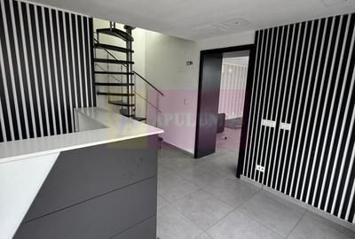 Spatiu Comercial Stradal Șoseaua Colentina zona Teiul Doamnei Suveica - 21