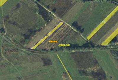 Teren extravilan 900 mp in sat Mohu / comuna Selimbar / jud. Sibiu - 3