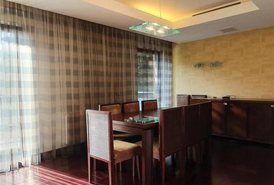 Ambasada SUA. Apartament 300mp, terasa 100mp, garaj. - 13