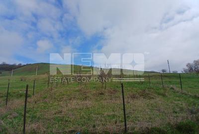Teren De Vânzare I Suceava I 48.000 euro - 8