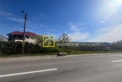 Teren intravilan 2554 mp, com. Prajesti, jud. Bacau - 3