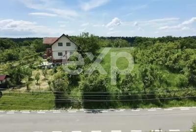 Teren Construcții intravilan de 3052 mp, în Drăganu