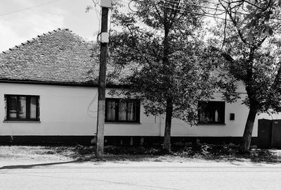 TEREN INTRAVILAN DE 3.000 MP IN VATRA VECHE IN GIARMATA LA 200.000 eur - 1