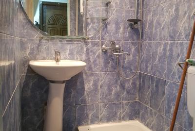 Inchiriere garsoniera parter, bloc anvelopat, Piata Resita, 230 euro - 7