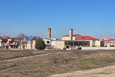 Vanzari terenuri in Techirghiol - 4