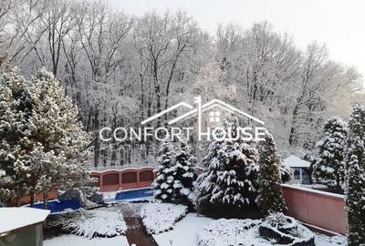 VILA D+P+E+M, 12 camere, piscina , padure, IANCU NICOLAE - 42