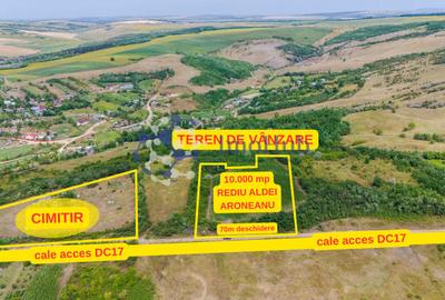 Teren intravilan 10.000 mp în Rediu Aldei (Aroneanu) - 1