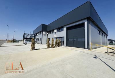 Spațiu industrial, de 540.00 mp, în Domnești