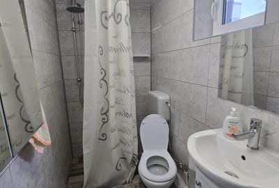 Apartament in vilă in zona Libertatii-Piata Regina Maria-Gramont - 12