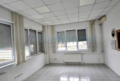 Hala de inchiriat in Marghita pentru productie si depozitare, Bihor - 12