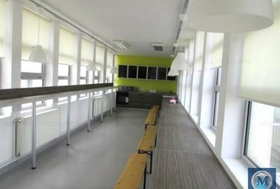 Spatiu  birouri de inchiriat in Paulestii Noi, 2361,24 mp mp #9967 - 16