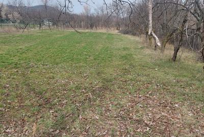 Teren intravilan - 1