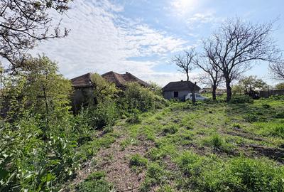 Teren intravilan , cu constructie in Cobadin, 2591 mp. - 3