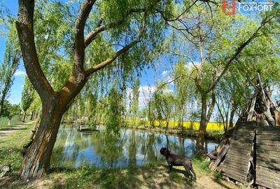 Vila Duplex cu lac si piscina Giarmata Vii  cu 5880 mp de teren - ID V5269 - 21