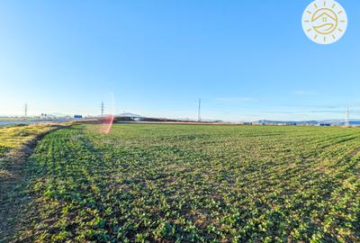 Teren intravilan 22800mp la 2km de Parcul Industrial Prejmer - 2