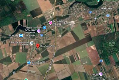 Teren 1500 mp Caciulati Moara Vlasiei, cu utilități - 7
