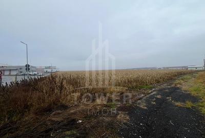 Teren Intravilan | Zona Industriala Vest | 20.663 mp - 13