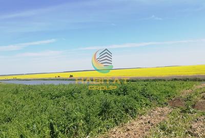 Teren 509 mp | Vedere la lac | Rate 24 luni | Comision 0% - 1