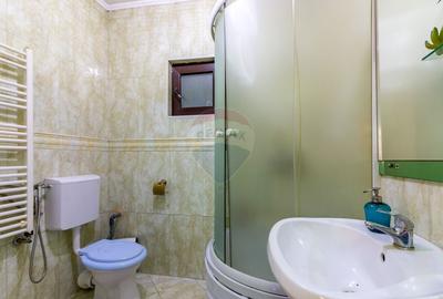 Casă / Vilă în zona Centrala Oras Pantelimon - 18