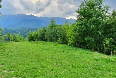 Teren pentru casa de vacanta , Pestera , Brasov - 13