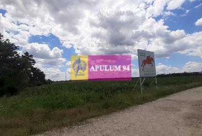 Teren 715mp în Snagov lângă Equestria - 14